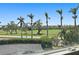 Serene view from the condo overlooking a lush golf course with palm trees and manicured landscaping at 6191 Bahia Del Mar Blvd # 204, St Petersburg, FL 33715