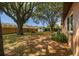 Lush backyard featuring mature trees, fenced perimeter, and ample space at 16039 Frost Dr, Hudson, FL 34667