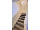 Carpeted stairs lead to the upper level of this home, creating an elegant transition between floors at 2213 Fluorshire Dr, Brandon, FL 33511