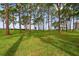 Expansive green space with mature trees, ideal for outdoor recreation and relaxation at 2700 Bayshore Blvd # 522, Dunedin, FL 34698