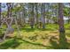 Community picnic area with shaded seating and barbecue grills for outdoor gatherings at 2700 Bayshore Blvd # 522, Dunedin, FL 34698