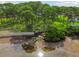 Beautiful waterfront park with trees, picnic area, and kayaks at 2700 Bayshore Blvd # 522, Dunedin, FL 34698