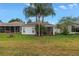Backyard showcasing a lush lawn and tropical palm trees at 3009 Banyan Hill Ln, Land O Lakes, FL 34639