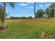 Expansive backyard with green space and mature palm trees at 3009 Banyan Hill Ln, Land O Lakes, FL 34639