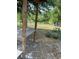 Land with trees, animal shelter, and field at 30723 Reed Rd, Dade City, FL 33523