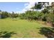 Beautiful backyard featuring lush greenery and natural landscaping at 6417 Blue Sail Ln, Apollo Beach, FL 33572