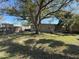 Spacious backyard with green grass, shade tree and a swing at 7366 Royal Palm Dr, New Port Richey, FL 34652
