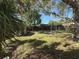 Green backyard with shade trees and a rope swing at 7366 Royal Palm Dr, New Port Richey, FL 34652