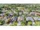 Neighborhood aerial shot with mature trees at 10510 Castleford Way, Tampa, FL 33626