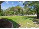 Spacious backyard with lush green grass, a mature palm tree, and ample shade at 11383 Pickford St, Spring Hill, FL 34609