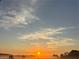 A serene sunrise view, emphasizing the peaceful surroundings and morning glow at 11530 Adam Lee Way, Dade City, FL 33525