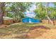 Exterior view of the backyard with landscaping at 1513 Escort Ave, Tampa, FL 33610