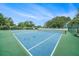 Well maintained community tennis courts surrounded by mature trees and fencing at 1830 Citrus Orchard Way, Valrico, FL 33594