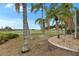Beautifully landscaped yard with tropical plants and mature trees offers serene outdoor space at 2017 S Pebble Beach Blvd, Sun City Center, FL 33573
