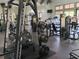 A fitness center featuring weight lifting machines and cardio equipment at 21422 Draycott Way, Land O Lakes, FL 34637