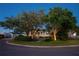 Exterior view of the home, showcasing meticulous landscaping, large trees, and lighting at 2501 S Dundee St, Tampa, FL 33629