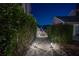 Illuminated walkway lined with landscaping, creating a serene path through lush greenery to the house at 2501 S Dundee St, Tampa, FL 33629