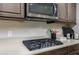 Close-up of a gas cooktop with sleek stainless steel appliances and light-colored countertops at 29002 Trevi Pl, Wesley Chapel, FL 33543