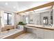 Bright bathroom featuring a garden tub, large mirror, plants, and ample countertop space at 3014 Ashland Ter, Clearwater, FL 33761