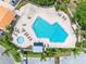Aerial view of the community pool featuring lounge chairs, lush landscaping, and a wading pool at 4306 Sunray Ct, Tampa, FL 33615