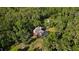 Secluded home with a screened pool surrounded by lush, mature trees and landscaping at 9298 Carr Rd, Riverview, FL 33569