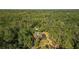 Overhead shot of home with a pool and a large lawn enclosed by dense foliage at 9298 Carr Rd, Riverview, FL 33569
