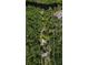 Expansive wooded lot with mature trees and a home featuring a private pool and additional outbuilding at 9298 Carr Rd, Riverview, FL 33569