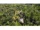Aerial view of secluded home surrounded by a dense forest offering privacy and serene natural beauty at 9298 Carr Rd, Riverview, FL 33569