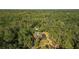Aerial view of the home with a screen-in pool area, tucked amongst a beautiful grove of trees at 9298 Carr Rd, Riverview, FL 33569