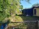 Overgrown backyard at 12231 Fort King Rd, Dade City, FL 33525