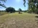 Expansive backyard with lush green grass and mature trees at 12231 Fort King Rd, Dade City, FL 33525