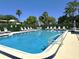 Community pool with plenty of lounge chairs and umbrellas, perfect for relaxation at 135 Nina Way # 35, Oldsmar, FL 34677