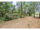View of wooded area adjacent to yard at 1524 Marsh Wood Dr, Seffner, FL 33584