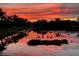 Picturesque pond scene with beautiful sunset colors and wildlife at dusk at 15707 Crystal Waters Dr, Wimauma, FL 33598