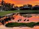 Scenic pond view at sunrise featuring herons perched on a grassy islet, reflecting community homes at 15707 Crystal Waters Dr, Wimauma, FL 33598