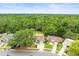 Aerial view of the property with lush greenery and a serene wooded backdrop at 16116 Manorwood Cir, Tampa, FL 33624