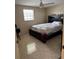 Cozy bedroom featuring a ceiling fan, a large window and tile floors at 4217 Tamargo Dr # A, New Port Richey, FL 34652