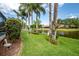 Lush backyard with mature palm trees and colorful bushes overlooking a tranquil lake at 5519 Greyston St, Palm Harbor, FL 34685