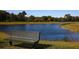 Enjoy serene pond views and peaceful relaxation on this park bench surrounded by nature at 9328 Gladsome Dr, Land O Lakes, FL 34637