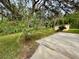 Lush backyard featuring mature trees and a storage shed, providing a private and serene outdoor space at 10206 Lakeview Dr, New Port Richey, FL 34654