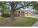 Landscaped front yard featuring a mature tree that provides shade to the well-maintained property at 10322 Riverburn Dr, Tampa, FL 33647