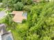 Aerial view of a backyard featuring a pool and a lush green perimeter at 12217 Snead Pl, Tampa, FL 33624