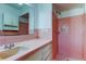 Close-up of pink-tiled bathroom featuring sink, vanity, and shower stall at 1516 Lemon St, Clearwater, FL 33756