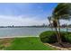 Backyard showcasing lush green lawn, mature palms, and waterfront views, creating a serene outdoor retreat at 17382 Kennedy Dr, North Redington Beach, FL 33708