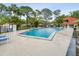 This community pool is surrounded by chairs, palm trees, and lush landscaping, creating a resort-like atmosphere at 2070 Sunset Point Rd # 111, Clearwater, FL 33765