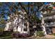 Low angle shows condo building with white balconies, beautiful mature tree, and colorful flowers at 2630 Pearce Dr # 104, Clearwater, FL 33764