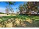 Backyard lawn with large shady trees near patio at 29909 Baywood Ln, Wesley Chapel, FL 33543