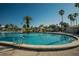 Large, inviting community pool with clear blue water, palm trees, and ample space for relaxation at 29909 Baywood Ln, Wesley Chapel, FL 33543