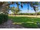 Scenic view of the golf course with mature trees, Spanish moss, and lush green grass under a blue sky at 29909 Baywood Ln, Wesley Chapel, FL 33543