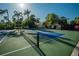A vibrant, sunny tennis court boasts blue and green surfaces, bordered by palm trees at 29909 Baywood Ln, Wesley Chapel, FL 33543